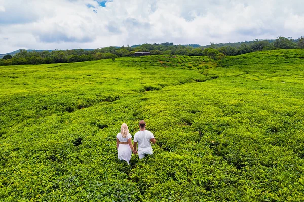 Vista Superior Las Plantaciones Una Pareja Enamorada Blanco Isla Mauricio — Foto de Stock