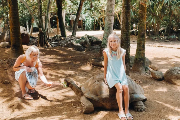 Actividades Divertidas Mauricio Tortuga Gigante Alimentación Familiar Zoológico Isla Mauricio — Foto de Stock