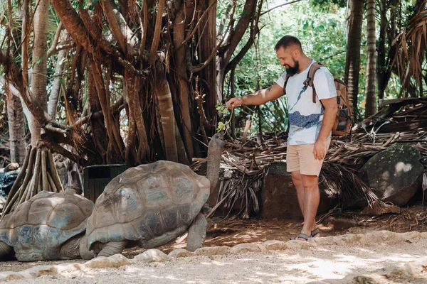 Entretenimiento Familiar Divertido Mauricio Turista Alimentando Una Tortuga Gigante Zoológico — Foto de Stock