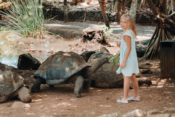 Spaß Für Die Ganze Familie Auf Mauritius Ein Mädchen Füttert — Stockfoto