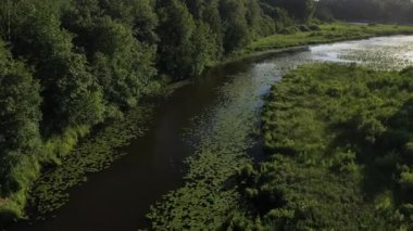 Loshitsa Parkı 'ndaki Svisloch nehrinin en üst manzarası. Gün batımında zambaklarla birlikte. Belarus' un güzel doğası..