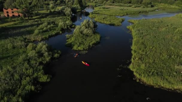 Vue de dessus des kayakistes de la rivière Svisloch flottant sur la rivière dans les villes Parc Loshitsky au coucher du soleil.Les gens se détendent flottant sur la rivière en kayak.Belle nature de la Biélorussie. — Video
