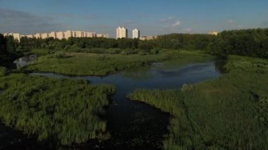 Loshitsa Parkı 'ndaki Svisloch nehrinin en üst manzarası. Gün batımında zambaklarla birlikte. Belarus' un güzel doğası..