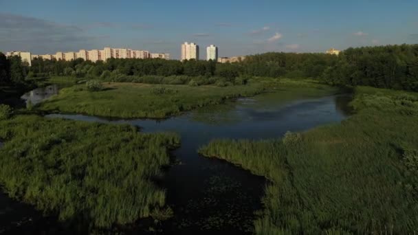 Vista superior del río Svisloch en las ciudades Loshitsa Park con lirios al atardecer. Hermosa naturaleza de Belarús . — Vídeo de stock
