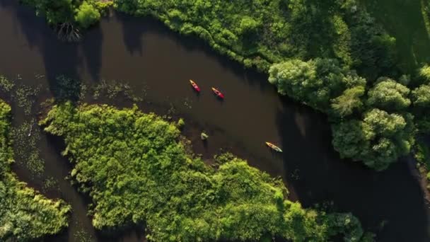 Vista superior de los kayakistas del río Svisloch flotando en el río en las ciudades Loshitsky Park al atardecer.La gente se relaja flotando en el río en kayaks.Beautiful naturaleza de Bielorrusia . — Vídeos de Stock