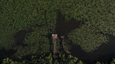 Loshitsa Parkı 'ndaki Svisloch nehrinin en üst manzarası. Gün batımında zambaklarla birlikte. Belarus' un güzel doğası..