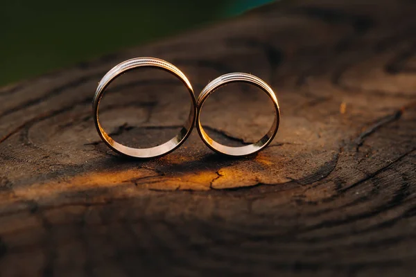 在木制的底座上挂着两个结婚戒指 以换取一个有爱心的夫妻的金戒指 — 图库照片