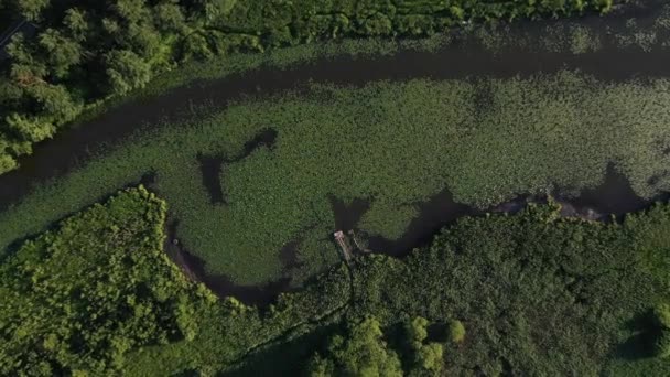 Vista dall'alto del fiume Svisloch nelle città Loshitsa Park con gigli al tramonto e un piccolo piercing in legno.Bella natura della Bielorussia. — Video Stock