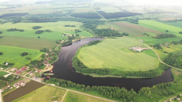 Vista dall'alto del lago in un campo verde sotto forma di un ferro di cavallo e un villaggio nella regione di Mogilev. Bielorussia. La natura della Bielorussia — Video Stock