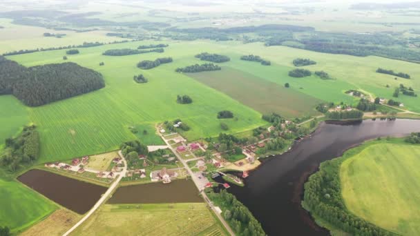 Vista da altura do lago em um campo verde na forma de uma ferradura e uma aldeia na região de Mogilev. Belarus.A natureza da Bielorrússia — Vídeo de Stock