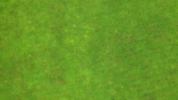 Vue de dessus de la salle de mariage dans un champ vert. Cérémonie de mariage avec décor décoré sur une pelouse verte.Tradition de mariage