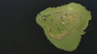Braslav Gölleri Ulusal Parkı 'ndaki Drivyaty Gölü' nün en güzel manzarası, Belarus 'un en güzel gölleri. Belarus' ta bir ada..