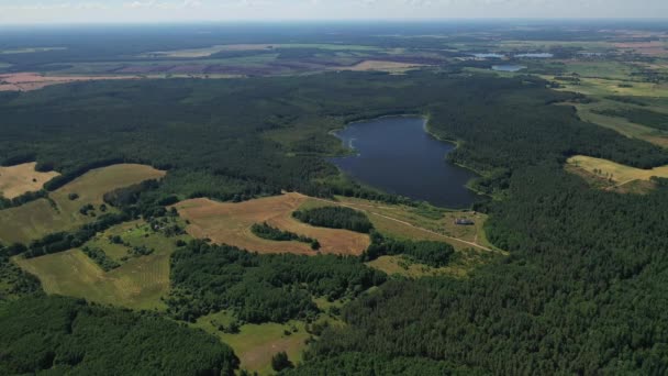 Vista Superior Lago Bolta Floresta Parque Nacional Braslav Lagos Lugares — Vídeo de Stock