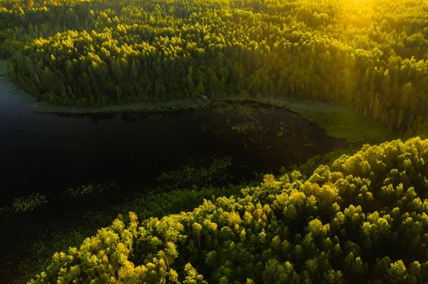 Ovanifrån Sjön Bolta Skogen Braslav Sjöar Nationalpark Vackraste Platserna Vitryssland — Stockfoto