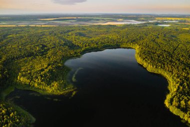 Bolta Gölü 'nün şafak vakti Braslav Gölü Ulusal Parkı' ndaki ormandaki en güzel manzarası. Belarus 'un en güzel yeri. Göl kenarında bir ada.