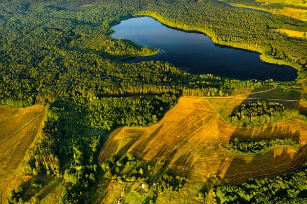 Κάτοψη Της Λίμνης Bolta Στο Δάσος Στις Λίμνες Braslav Εθνικό — Φωτογραφία Αρχείου