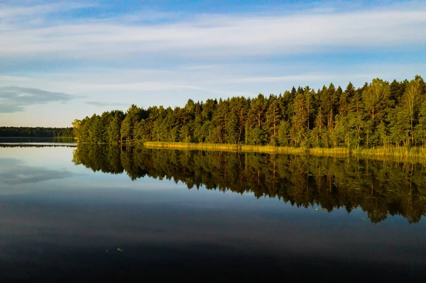 Horní Pohled Jezero Bolta Lese Národním Parku Braslavských Jezer Úsvitu — Stock fotografie