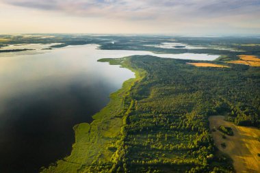 Bolta Gölü 'nün Braslav Gölü Ulusal Parkı' ndaki ormandaki en güzel manzarası. Belarus 'un en güzel yeri. Göl kenarında bir ada.