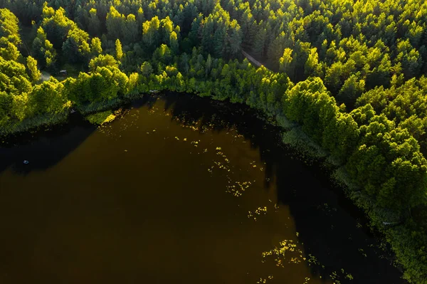 Vista Dall Alto Del Lago Bolta Nella Foresta Nel Parco — Foto Stock