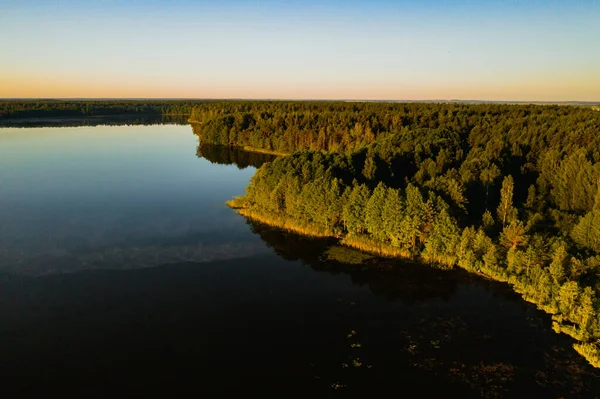 Górny Widok Jezioro Bolta Lesie Braslavskim Parku Narodowym Najpiękniejsze Miejsca — Zdjęcie stockowe