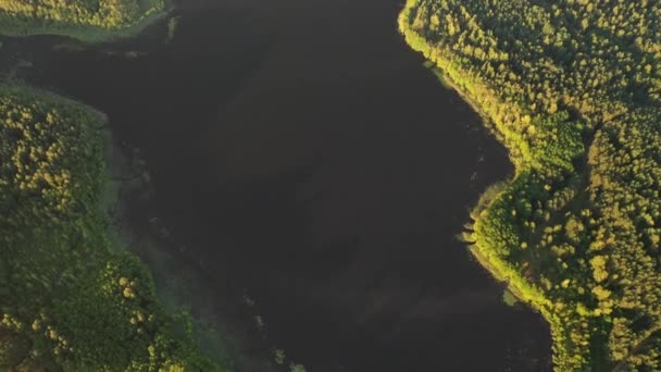 Górny widok na jezioro Bolta w lesie w Braslavskim Parku Narodowym, najpiękniejsze miejsca na Białorusi.Wyspa w jeziorze.Białoruś. — Wideo stockowe