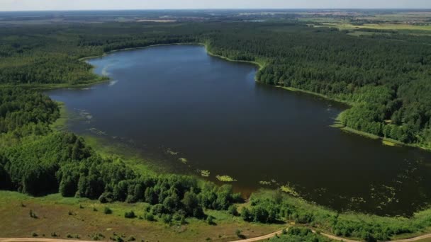 Top kilátás nyílik a Drivyaty-tóra a Braslav tavak Nemzeti Parkban, Fehéroroszország legszebb tavai.Egy sziget a tóban.Fehéroroszország. — Stock videók