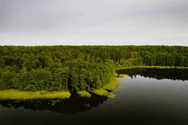 Ovanifrån Bolta Sjön Skogen Braslav Sjöar Nationalpark Gryningen Vackraste Platserna — Stockfoto