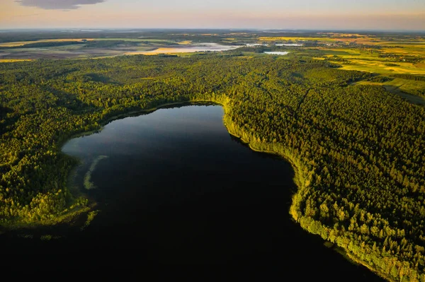 Górny Widok Jezioro Bolta Lesie Braslav Lakes National Park Świcie — Zdjęcie stockowe