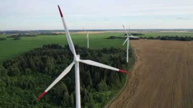 Yel değirmenleri yazın yeşil bir alanda. Ormanın yakınındaki bir tarlada duran büyük yel değirmenleri. Avrupa, Belarus
