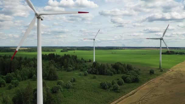 Ветряные мельницы летом на зеленом поле. Крупные ветряные мельницы стоят в поле рядом с лесом. Европа, Беларусь — стоковое видео