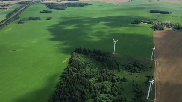 Latem wiatraki na zielonym pola.Duże wiatraki stojące na polu w pobliżu lasu.Europa, Białoruś — Wideo stockowe