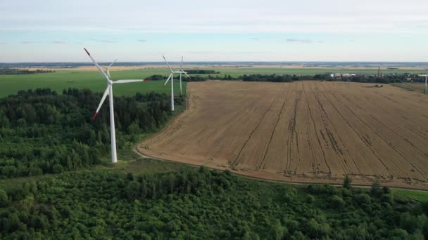 Vista dall'alto di mulini a vento in piedi con campo e foresta. Mulini a vento rotanti nei campi di Belarus.Energy — Video Stock
