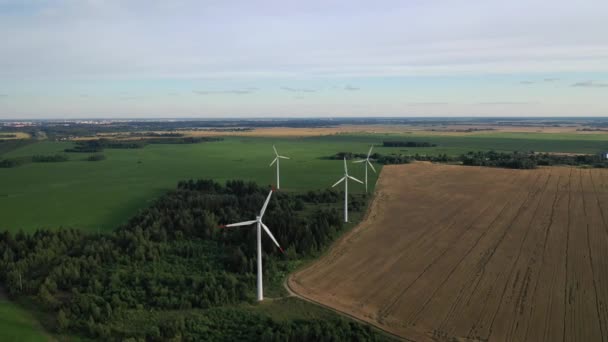 Moulins à vent en été dans un champ vert.grands moulins à vent debout dans un champ près de la forêt.Europe, Biélorussie — Video