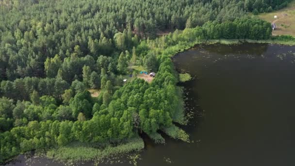 Pohled shora na jezero Bolta v lese v Národním parku Braslavská jezera, nejkrásnější místa v Bělorusku.Ostrov v jezeru.Bělorusko. — Stock video