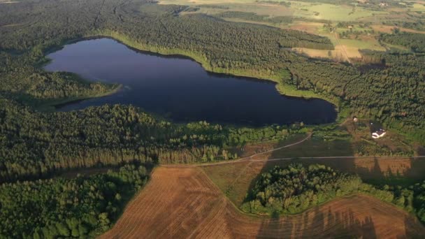 Vue de dessus du lac Bolta dans la forêt dans le parc national des lacs de Braslav à l'aube, les plus beaux endroits au Bélarus.. — Video