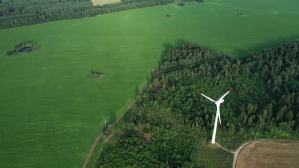 Vista superior de molinos de viento de pie con campo y bosque. Molinos de viento giratorios en los campos de Belarús. Energía — Vídeo de stock
