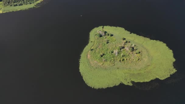 Braslav Gölleri Ulusal Parkı 'ndaki Drivyaty Gölü' nün en güzel manzarası, Belarus 'un en güzel gölleri. Belarus' ta bir ada.. — Stok video