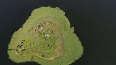 Braslav Gölleri Ulusal Parkı 'ndaki Drivyaty Gölü' nün en güzel manzarası, Belarus 'un en güzel gölleri. Belarus' ta bir ada..