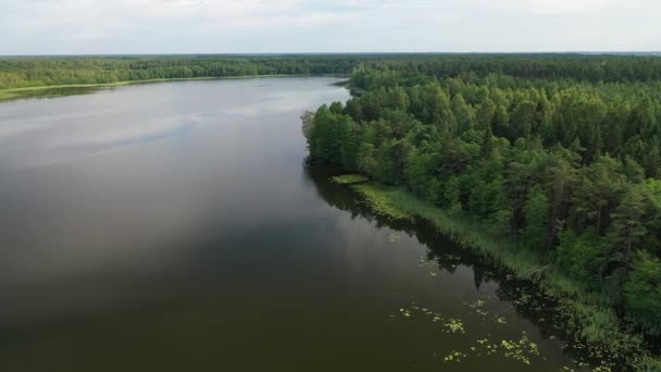 Vue de dessus du lac Bolta dans la forêt dans le parc national des lacs de Braslav, les plus beaux endroits au Bélarus. Une île dans le lac.Biélorussie. — Video