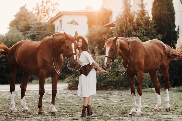 在大自然附近 一个穿着白色衣服头戴白色帽子的姑娘站在马旁边 时髦的女人牵着马走在庄园附近 — 图库照片