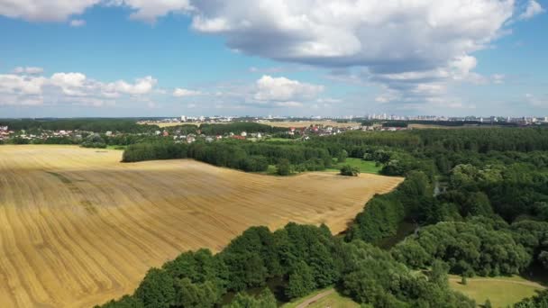 Langsamer Flug über Feld und Wald mit Blick auf die Stadt Minsk. 4K Drohnenaufnahmen. Feld von Weißrussland — Stockvideo