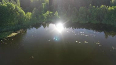 Gün batımındaki güzel göl manzarası ve Lily sudan ayrılıyor. Braslav gölleri.