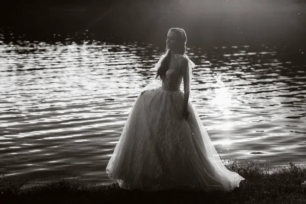 Una Novia Elegante Vestido Blanco Disfruta Naturaleza Atardecer Modelo Vestido — Foto de Stock