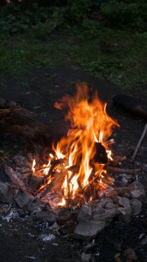 Yaz ormanında yanan şenlik ateşi