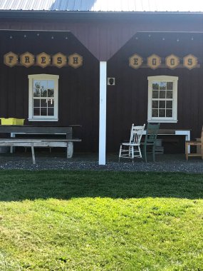 Maryland 'de sakin bir çiftlik hayatı