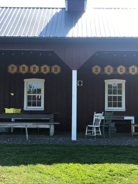 Maryland 'de sakin bir çiftlik hayatı