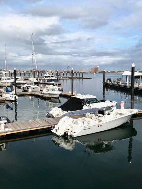 Boston Limanı 'ndaki Suyun Yanındaki Lüks Yatlar