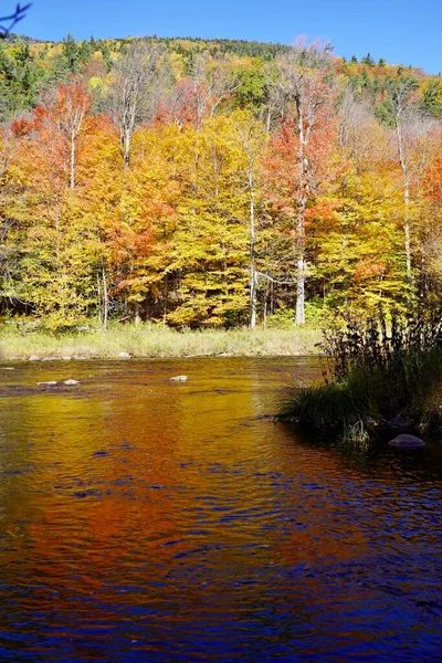 Peaceful Autumn Fall Stroll Enjoy Colorful Leaves — Stock Photo, Image