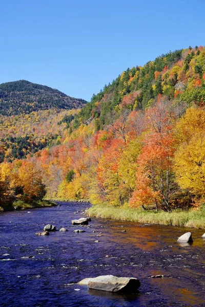 Peaceful autumn fall stroll to enjoy the colorful leaves