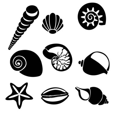 Vector set of sea shells